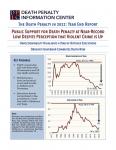 USA - 2022 Year End Report (DPIC) USA - 2022 Year End Report (DPIC)