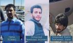 IRAN - Edris Bilrani, Mohammad Barahouyi Anjomani, Mohammad Karim Barkazayi Akson IRAN - Edris Bilrani, Mohammad Barahouyi Anjomani, Mohammad Karim Barkazayi Akson