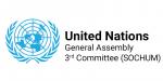 United Nations 3rd Committee